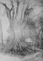 Art : 00148B